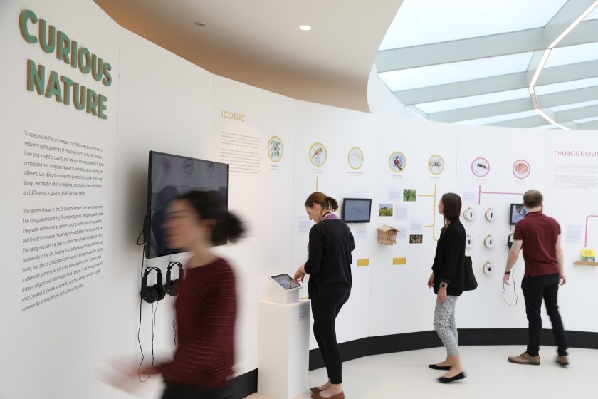 Four people looking at an exhibition wall. Exhibition heading says Curious Nature