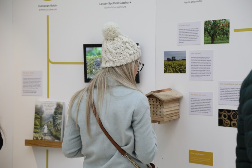 A woman reads an exhibition label next to a wooden bee hotel mounted to the exhibition wall
